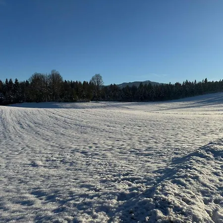 Almblick Apartamento Angath