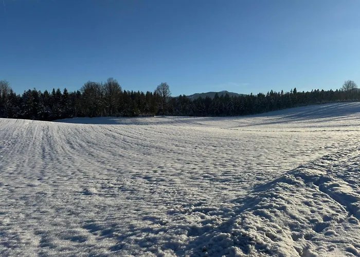 Almblick Apartament Angath